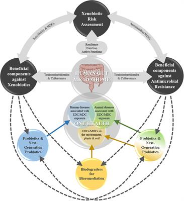 Incorporating the Gut Microbiome in the Risk Assessment of Xenobiotics and Identifying Beneficial Components for One Health